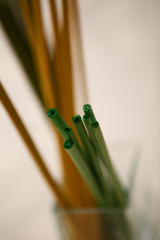 Apartment Green Tea Budapest Center Εξωτερικό φωτογραφία